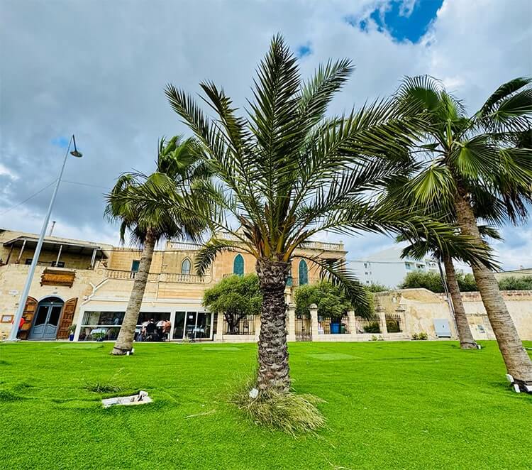 Rekomendacje wycieczek po Malcie i Gozo 2025 Mira I Ewa