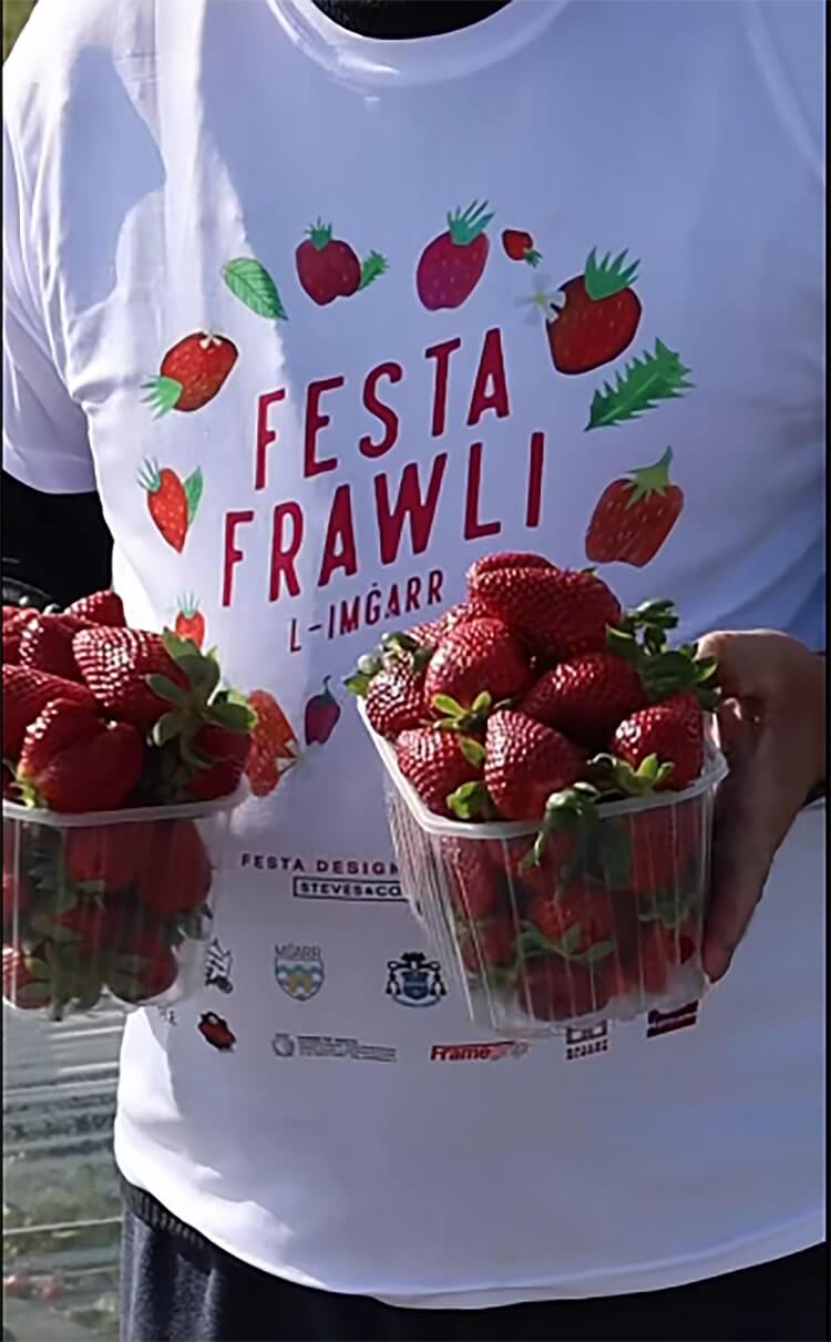 Festa Frawli - nie możecie tego przegapić!