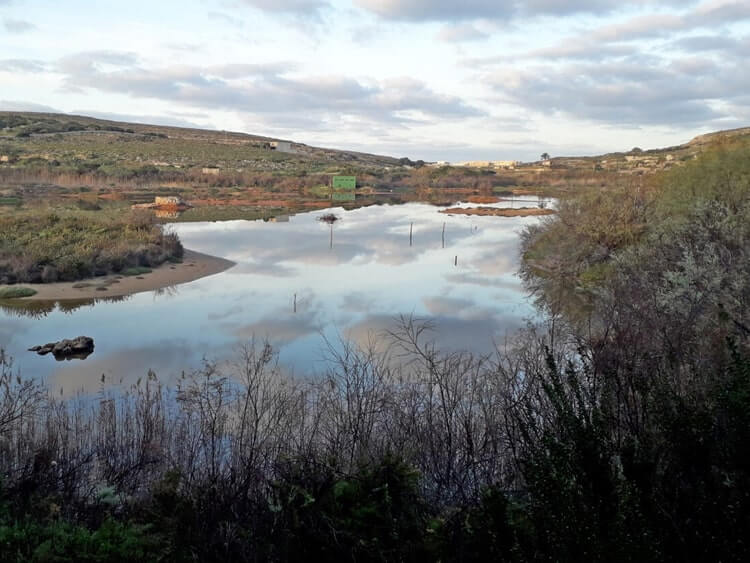Przyroda i parki Malty: Rezerwat Ghadira